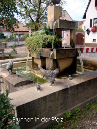 Brunnen in der Pfalz